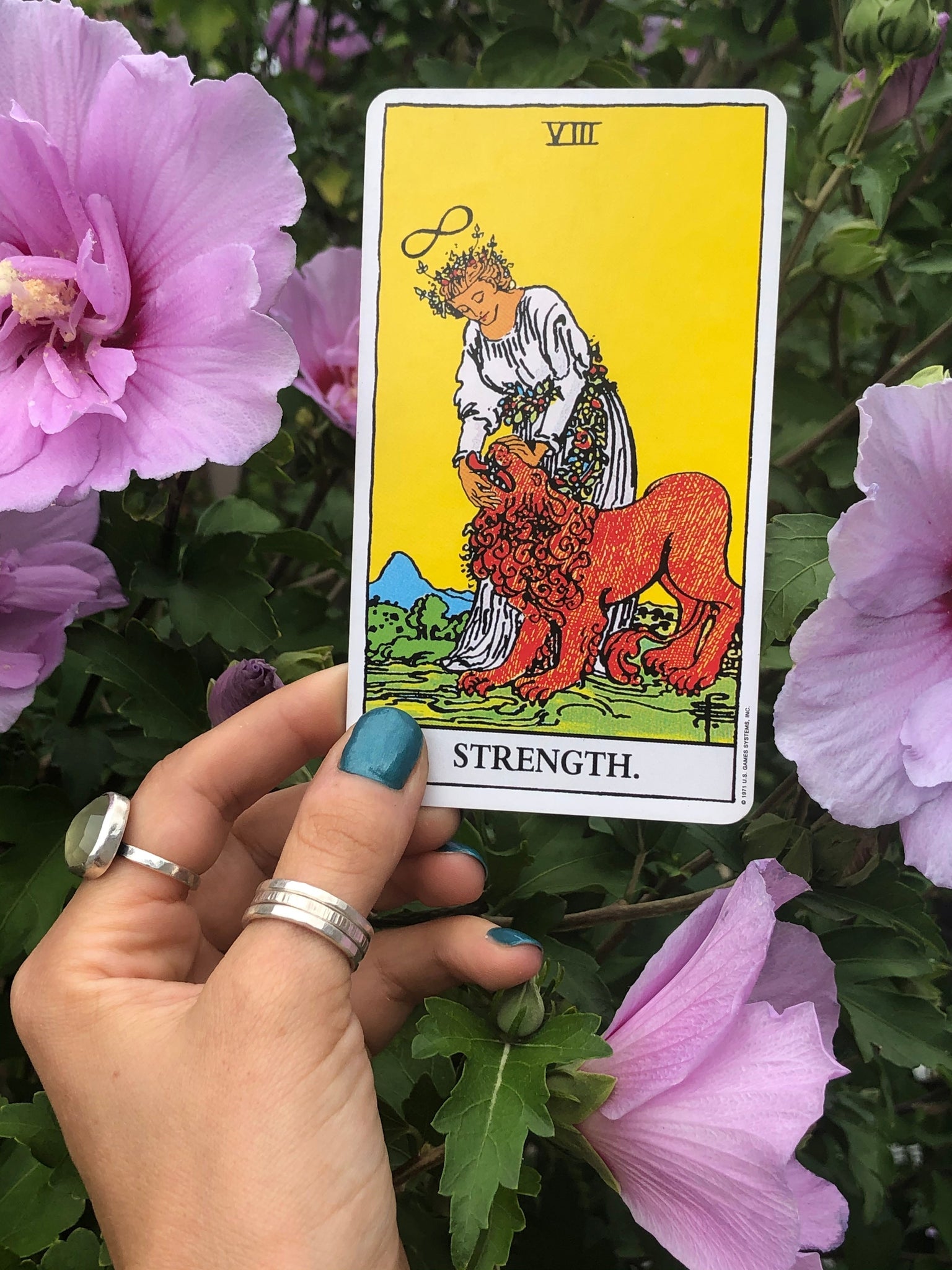8/8 The Lion's Gate Portal: Gateway to Heaven
