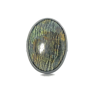 Petrified Wood Ring